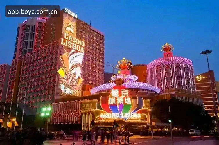 博亚娱乐平台功能深度解析：官方正版VS第三方渠道，哪个更值得选择？